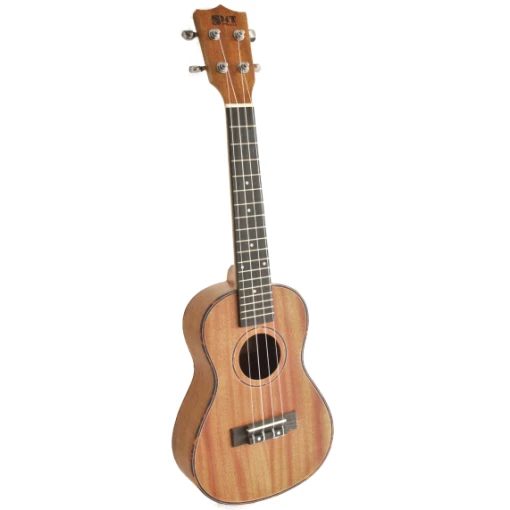 Ukulele Soprano Mahogany + Bag SMT