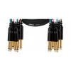 CORDIAL CML 8-0 PP 5 C