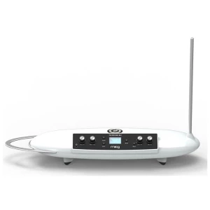 MOOG Theremini