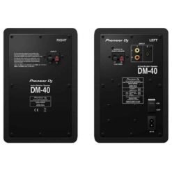 pioneer DM-40