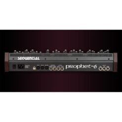 Dave Smith Prophet-6 Module