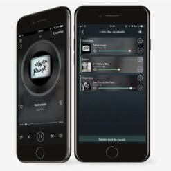 Streamer Reseau WiCASTplay