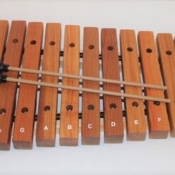 Xylophone Kids 15-Notes