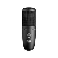 AKG P120