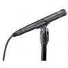 Audio Technica AT2031