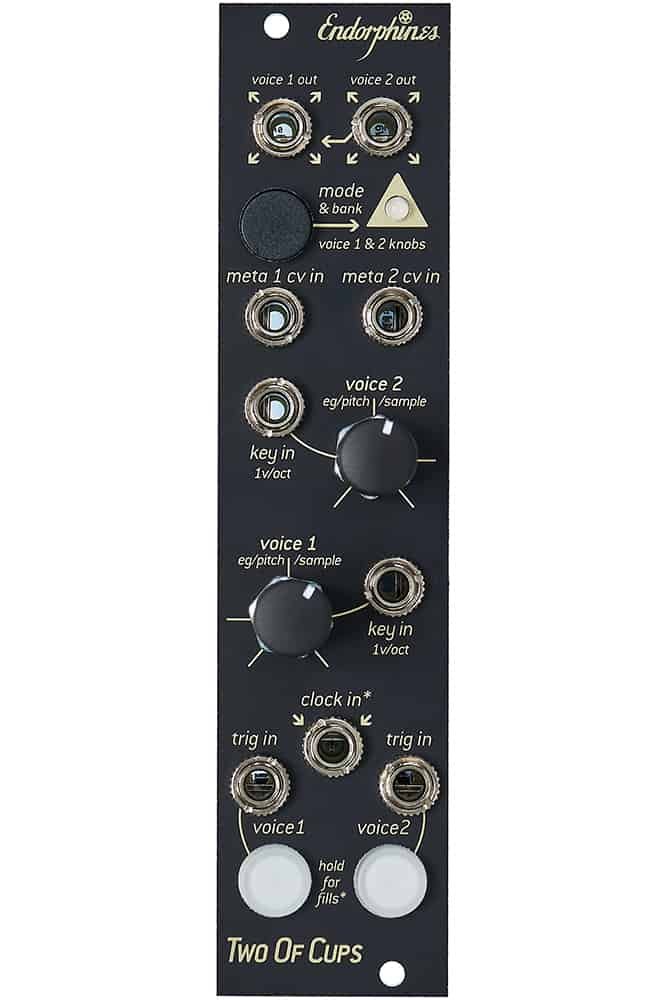 Endorphin Two Of Cups