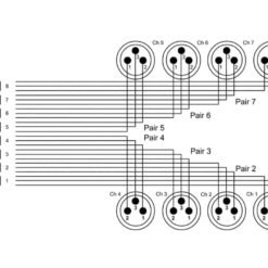 CORDIAL CFD 1.5 DMT câble DSub25-XLRm