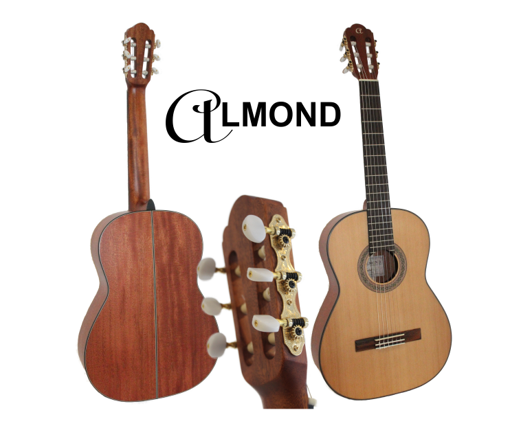 ALMOND Guitar Classic 3/4 Solid Spruce Top/Sapele