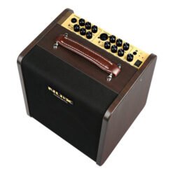 Stageman II Acoustic Guitar Amp 80 Watts sur batterie AC-80