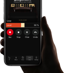 Stageman II Acoustic Guitar Amp 80 Watts sur batterie AC-80