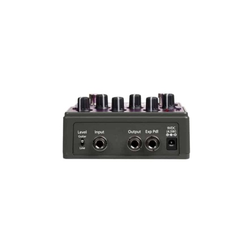 EVENTIDE Rose 4 EVENTIDE Rose – Image 4