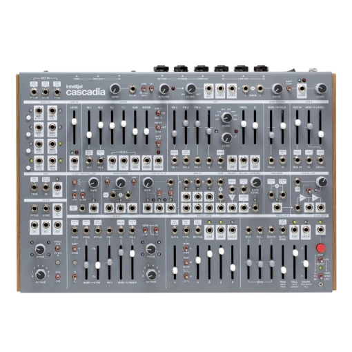 Synthétiseur semi-modulaire Intellijel Cascadia