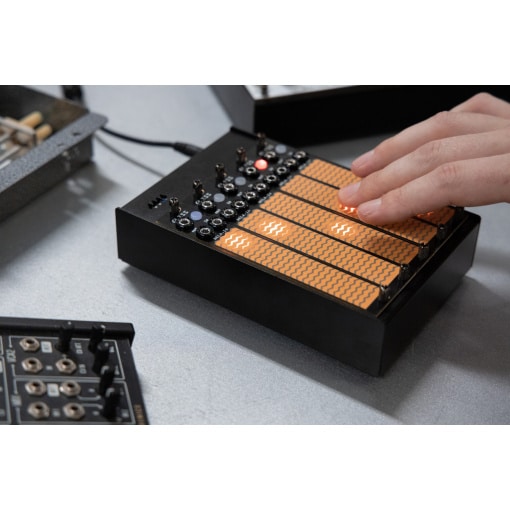 Bela Gliss – Image 3