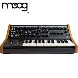 Moog Subsequent 25