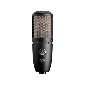 AKG P220