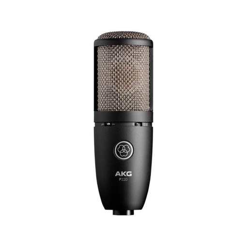 AKG P220