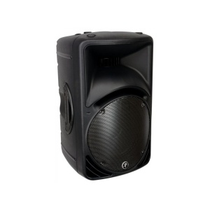 MACKIE C 300