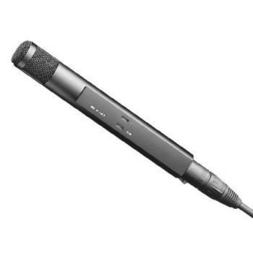 Sennheiser MKH30 P48